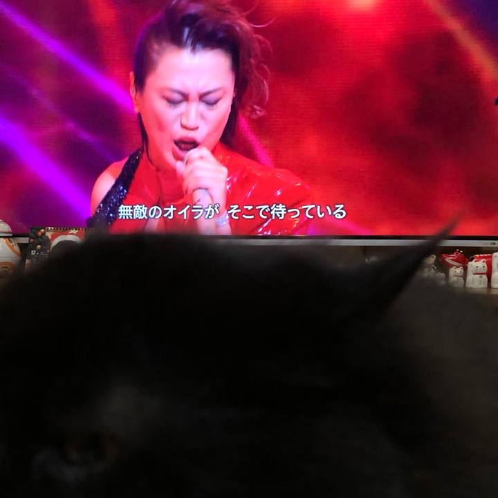 Ef33bba1 ee48 4806 b461 c063f4344468 1609423854831