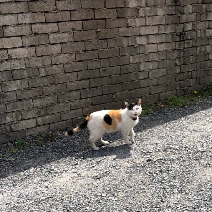 Ef33d41d 42bd 4a88 98c5 3c0c9c71cff1 1620088921743