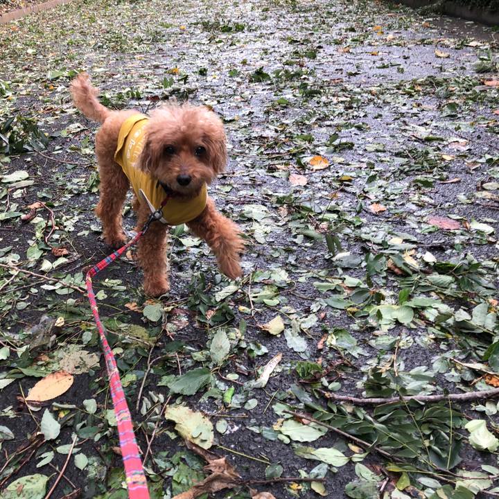 Ef33fe1c babe 4c74 bf92 9ba667cfbaeb 1570930005380