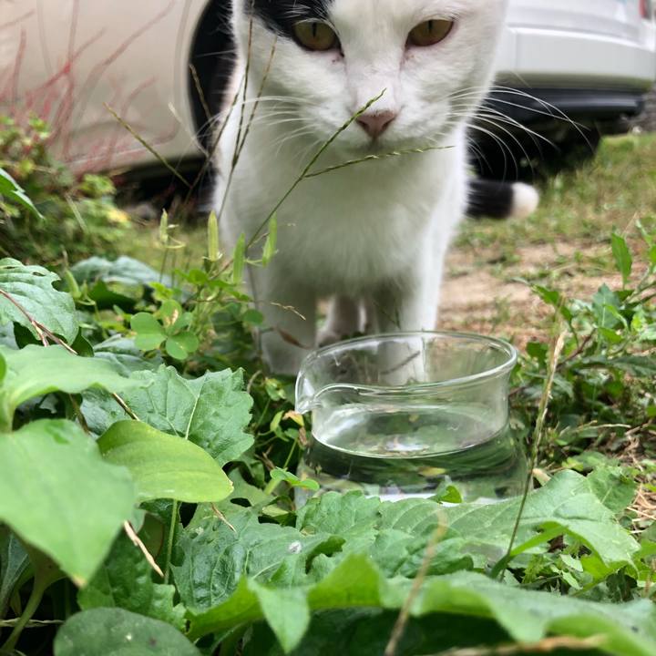 Ef342803 5790 45f3 9460 3d85c3afa6ad 1602371739405