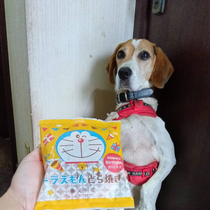 Ef34c165 8fbe 4b8a aba8 29d14a1ab69c 1724919785047