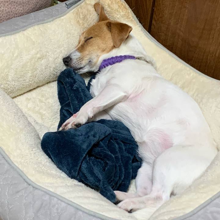 Ef34dce7 ba08 4de5 bd29 4b757d6a0178 1587992355240