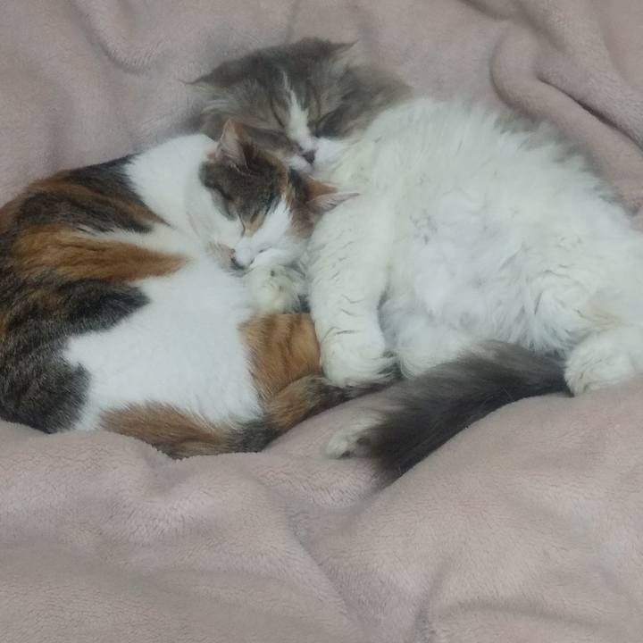 Ef34e2b9 349b 4978 a22f 4ead18ae4bca 1677080961900