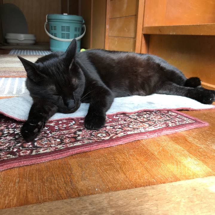 Ef3509f8 ecc5 4b90 84c0 e6beea91a073 1529199170993