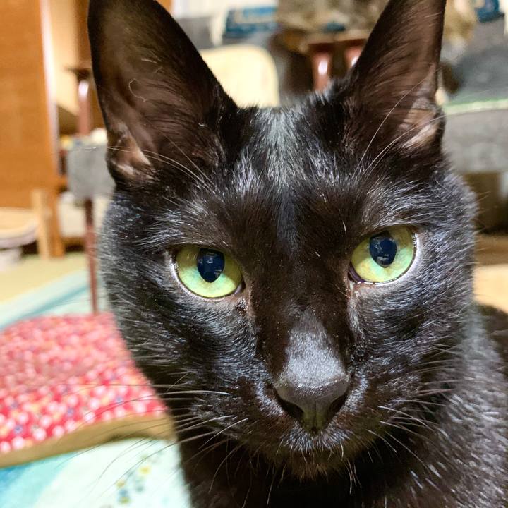 Ef35384e 813d 48e5 93fe 8f7e273110a5 1590839225720