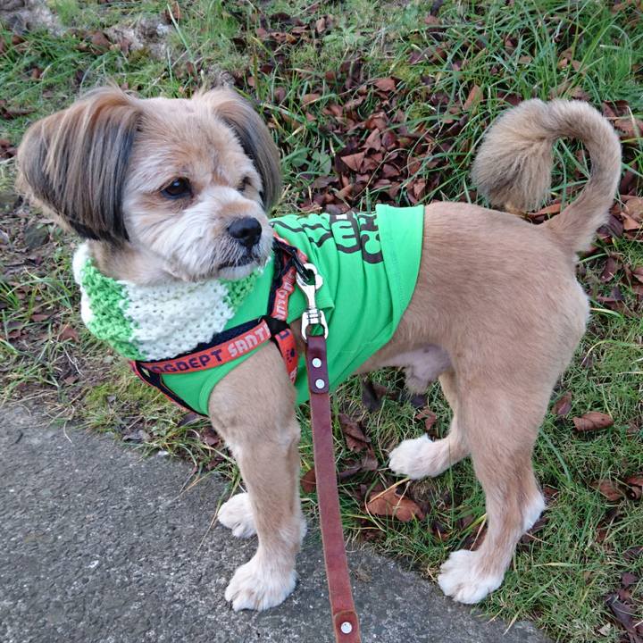 Ef354c25 19cc 44d8 94e2 aa9e9a53ea42 1513149878027