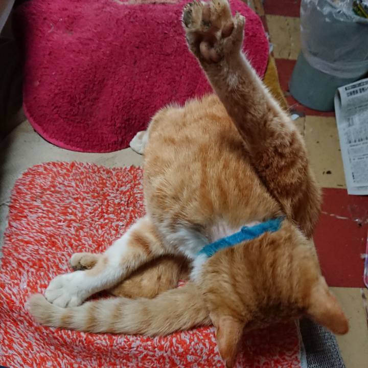 Ef355b1a b4aa 4d7c a8f0 87cfc70ac72e 1557003678830