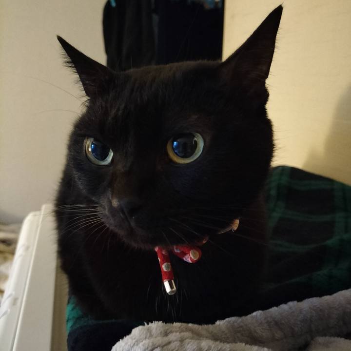 Ef356f98 ee75 476d be8e 4647780f4717 1638830062454