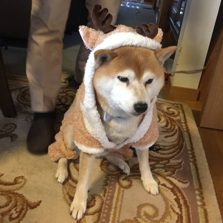 Ef35ac37 740a 4ac8 8c35 08f3a3bd7cd6 1577158601781