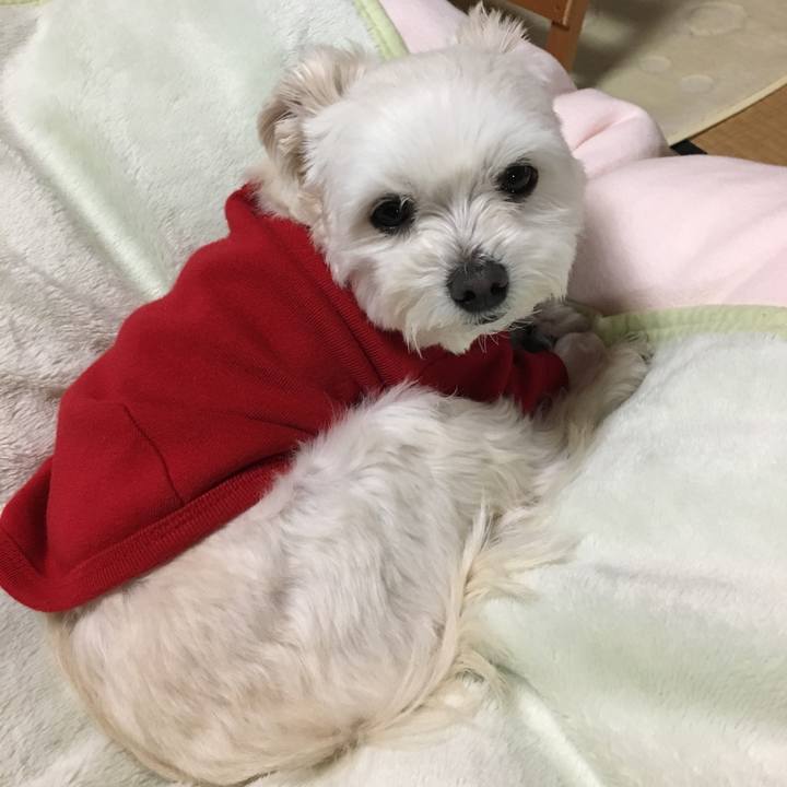 Ef362144 b4be 4859 a153 811ca2ffabfd 1550399141006