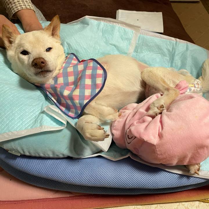 Ef362a20 3672 4521 ae08 71d51873ae59 1674462591973