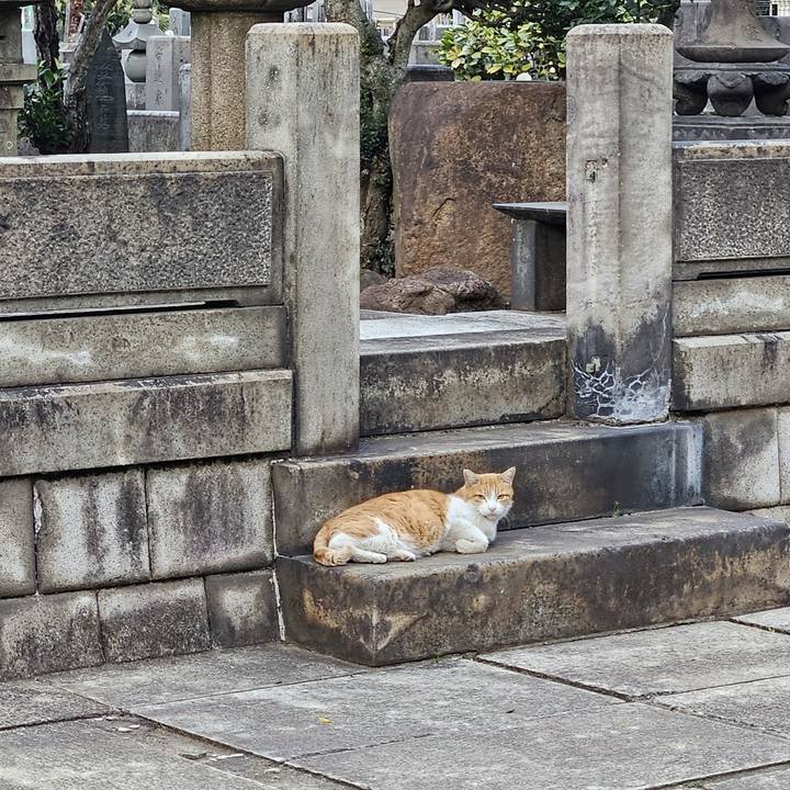 Ef362aeb 1f55 41a9 a02a 0341f47c2df7 1711883392212