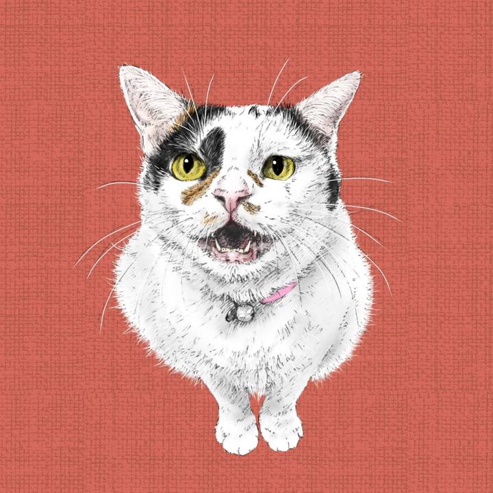 Ef366495 aaa8 441a b187 328dc2bdf4c0 1590672282138