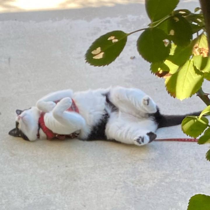 Ef366e32 e019 45b4 bd5b ced2301d8d62 1633753352560