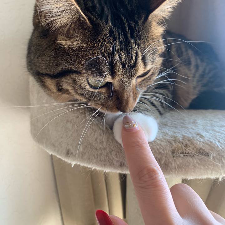 Ef369f1f d91d 4e55 bb23 30e6e9f415dc 1574209833085