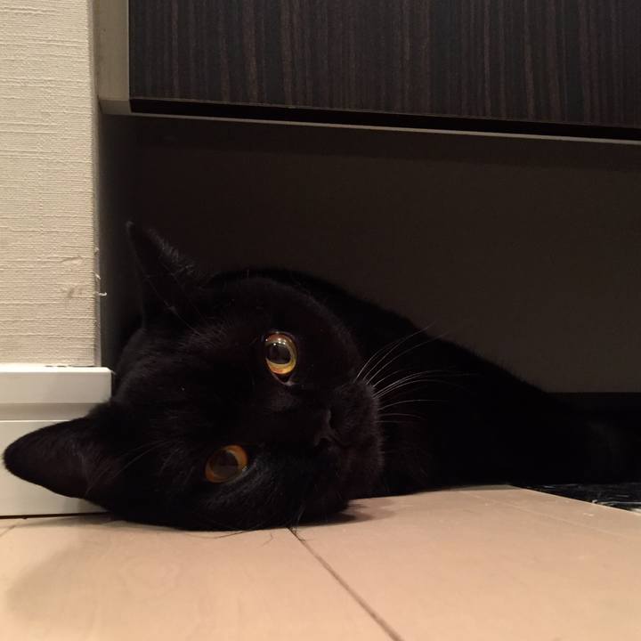 Ef36fade 2c6d 447f a116 f20e207b9677 1568213084866