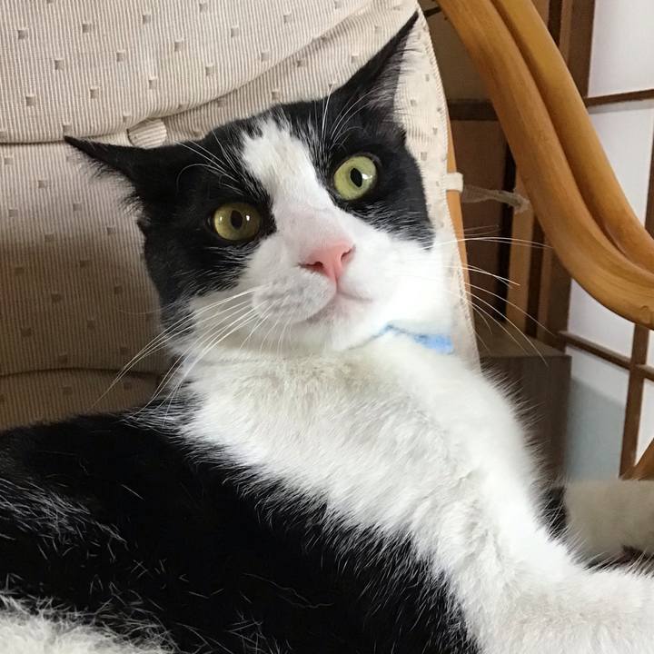 Ef37121a e5d8 46b4 a73e b1663cdaf265 1660041556104