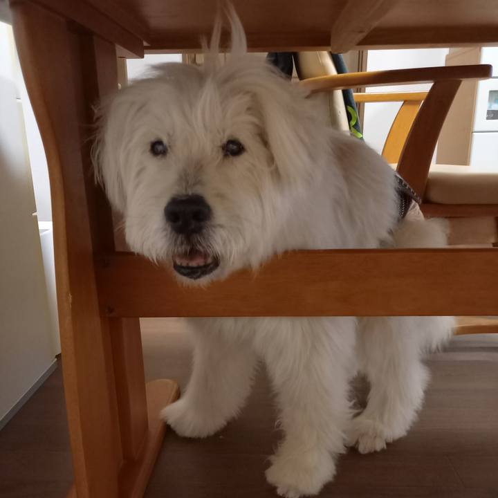 Ef3722c1 d50b 4952 b40d 90ed54cd111c 1626251303423