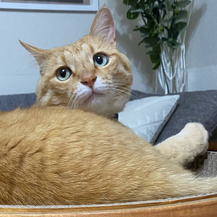 Ef374d43 30e0 4c93 b40a 22d84f248329 1656030614502