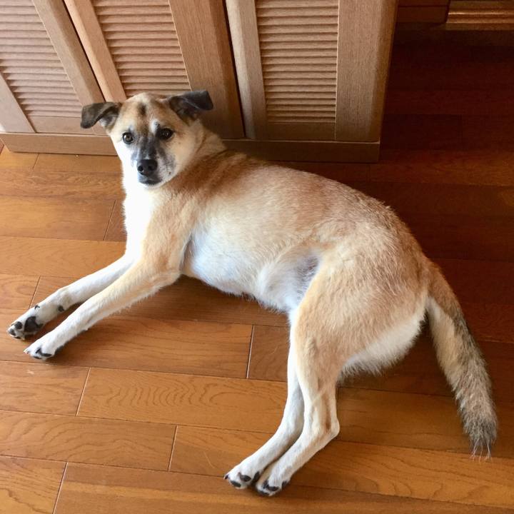 Ef37770c db78 4c66 861b 8691c77a6d0b 1532300985989