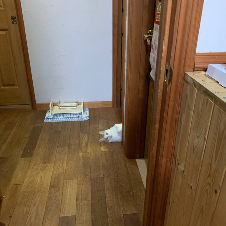 Ef37b3f9 7d30 4b48 915c 3f7fa3ddbc93 1628076046356