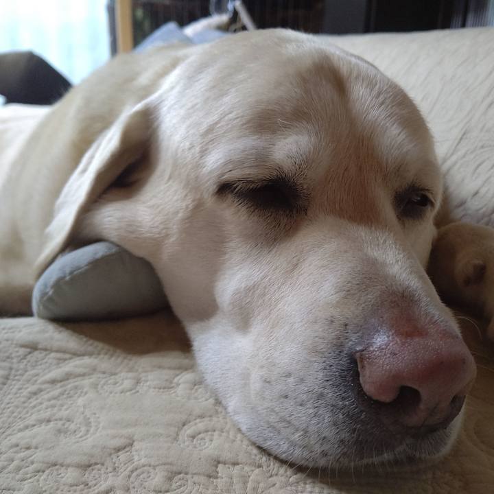 Ef37c6b2 dedf 4896 93d8 ca882036e5e2 1684826861253