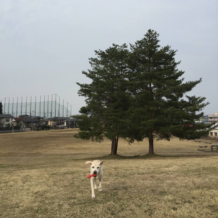 Ef37de7a b43e 4dfe 9475 c5c570f84d63 1522565822764