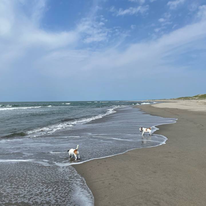 Ef380670 72ff 4116 a963 a165cf9daa81 1717054487132