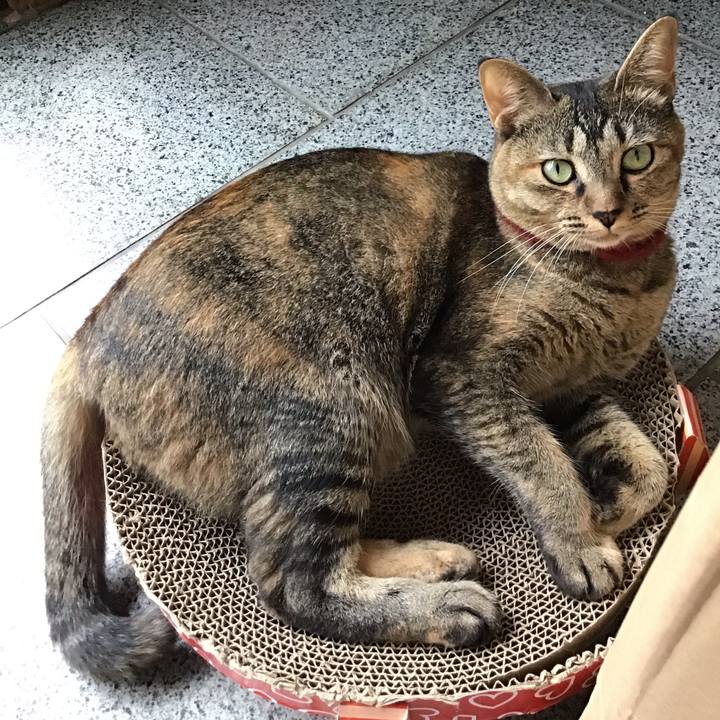 Ef381b4d a1d8 4a2b 8240 924e446a6b1f 1599029062357