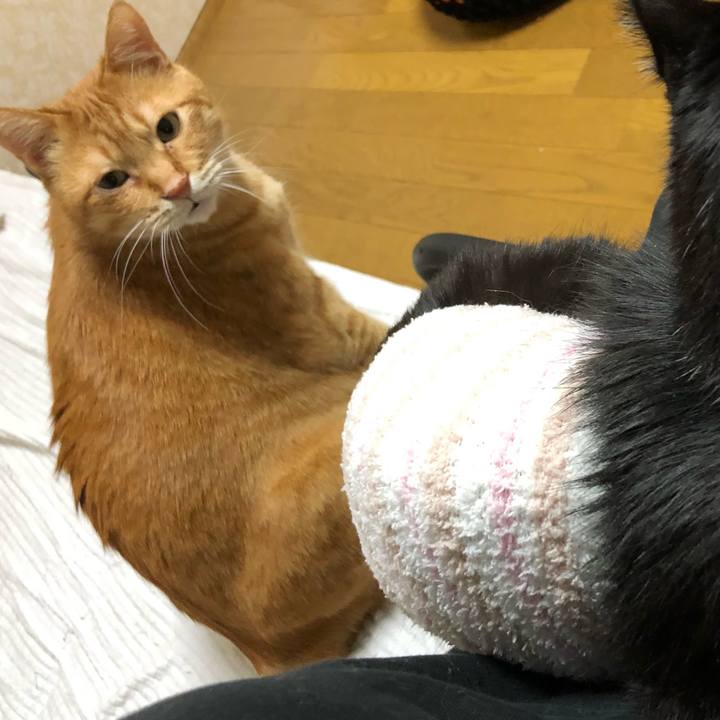 Ef384ad2 af47 49cc 84ba 2947e6982a6f 1639302210328