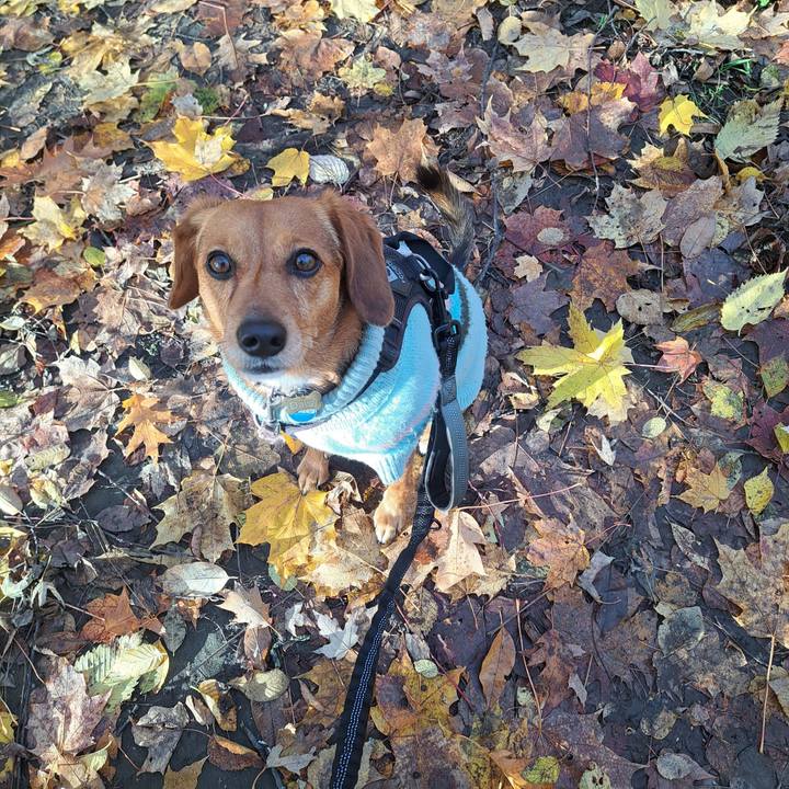 Ef386165 b1f0 4bbe 9f4e 4dc2a079953c 1763045098358