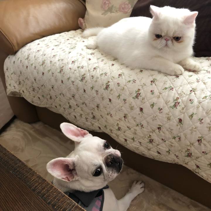 Ef3861a5 2afe 4246 9e8f 8144b1a179cb 1567303172274