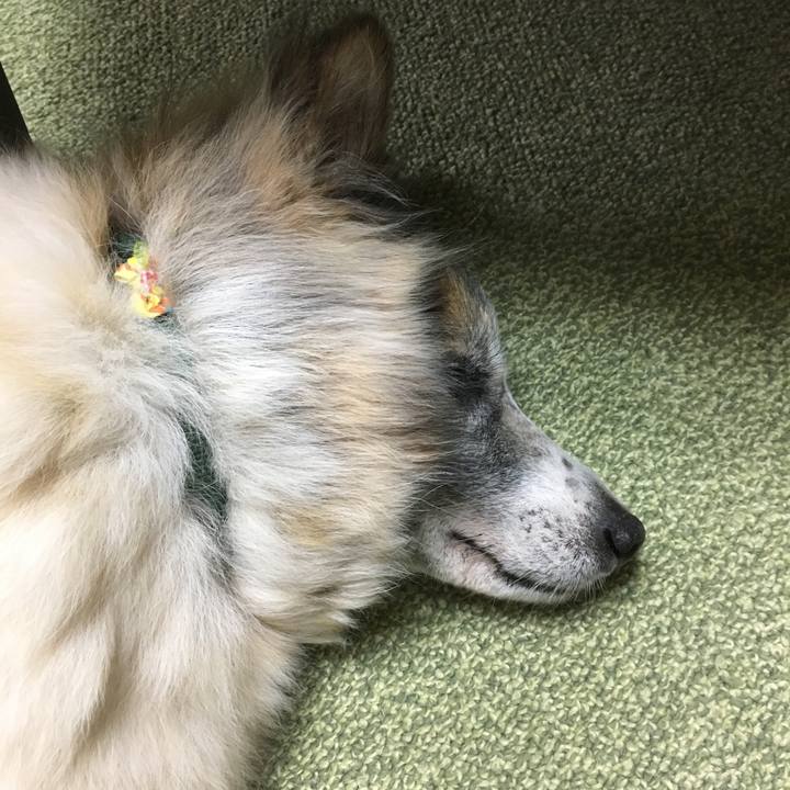 Ef392730 cac7 4bcc a051 47fe11fd73db 1508477696951