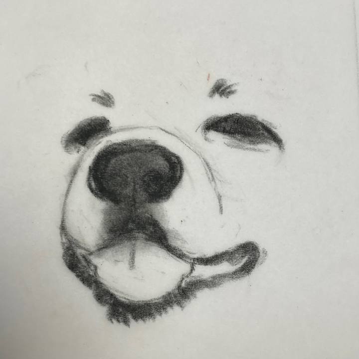 Ef398aad d718 4c79 96a5 a0c5e8e9e669 1644458418161