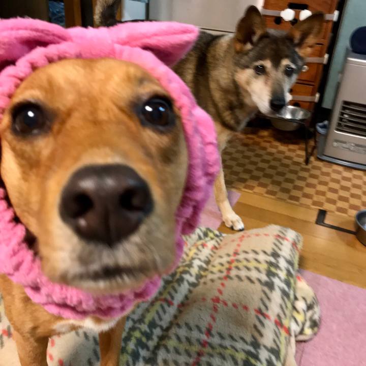 Ef39921e 544a 4f2d ab80 b5ada1a1b715 1537696772936