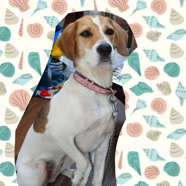 Ef399ee4 762a 4e9d 8071 110c177f062b 1598234318144