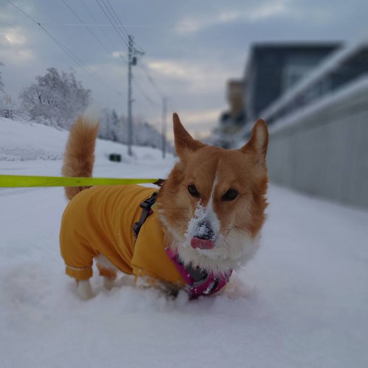 Ef39a613 49cf 4b68 a5f7 244962ff24a9 1773099837073