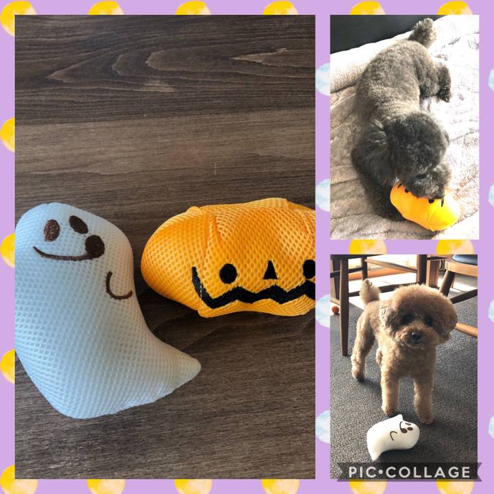 Ef39ade7 4057 4a7b b56a 529207ddf2ab 1603426150008