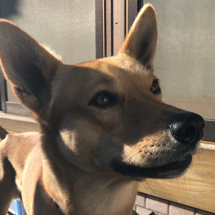 Ef39cafe 8502 4687 a710 8c13c81d99eb 1546321391436