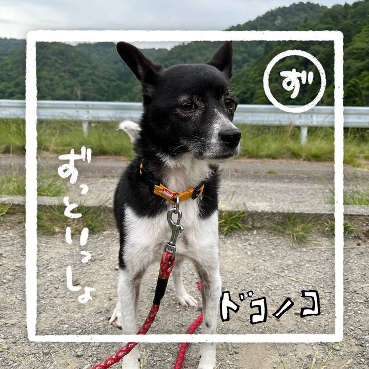 Ef39eb51 71c3 4210 9dbe 2e9b94b69481 1686009179234