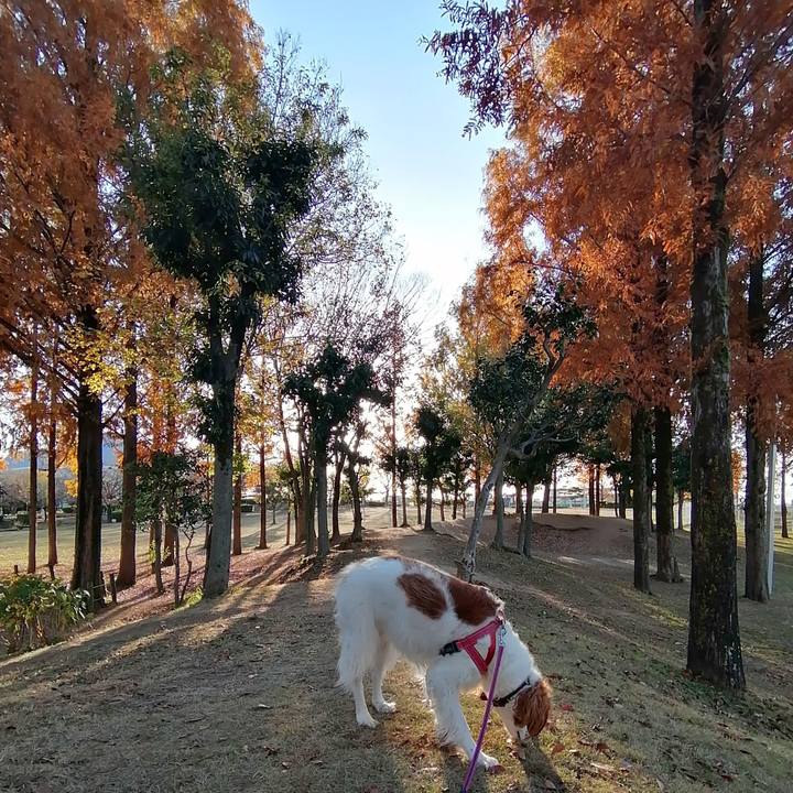 Ef39f2d8 7c9e 4202 95b2 250925315845 1606822275908