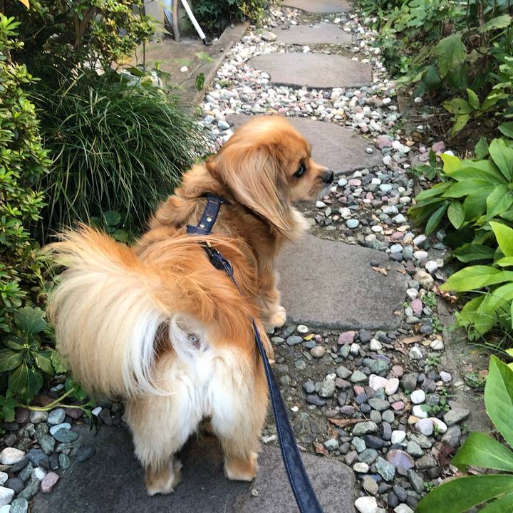 Ef3a15f8 ac23 4450 b11e 3c97899041a7 1569362109918