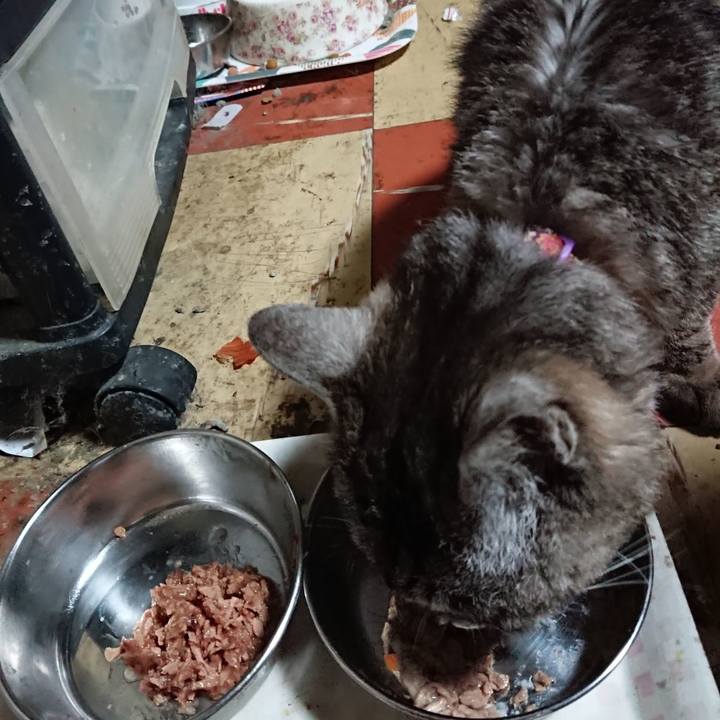 Ef3a3254 99e8 40a8 8362 fe5520e0a1a6 1595671030223