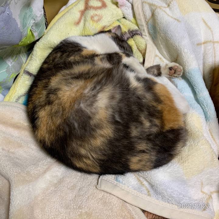 Ef3a4208 61de 48ac 8de4 66f8b561cb40 1640616159482