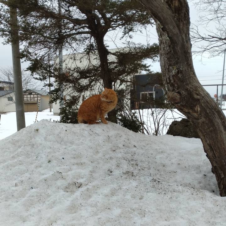 Ef3abc39 2a5c 4fd0 811e 4db4169a307c 1673913945712