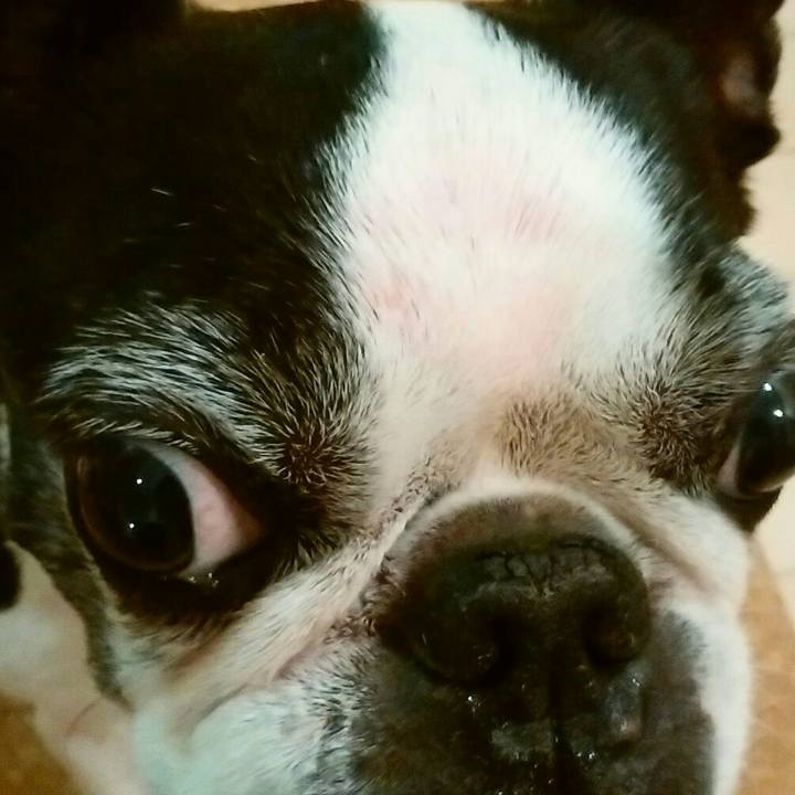 Ef3ac43f 005d 410b 8b20 f262aaa7dd40 1523805900600