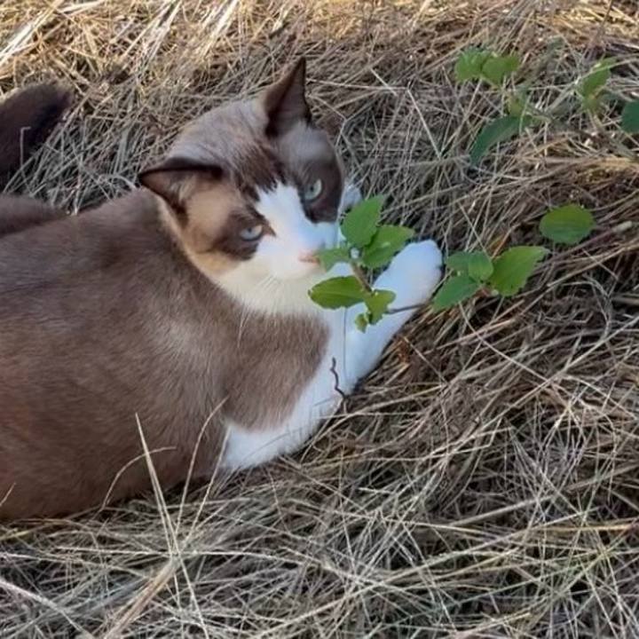 Ef3afcb3 13db 4571 9104 02f067b634e0 1760080725139