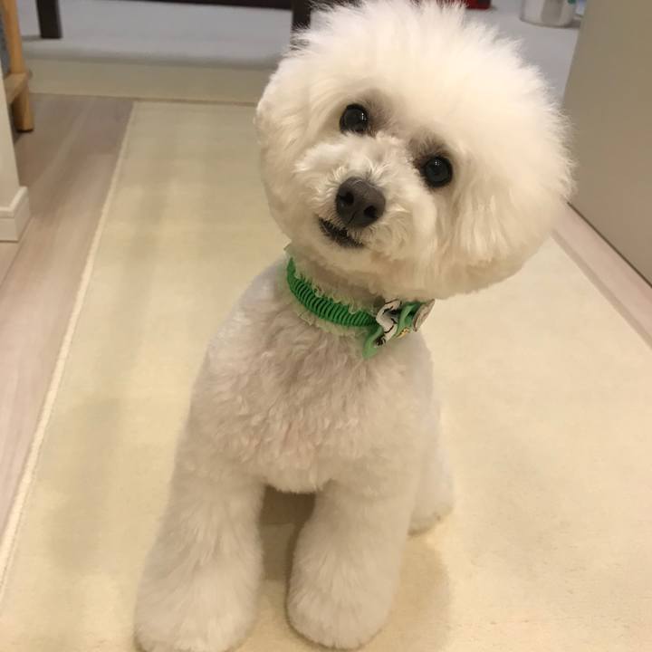 Ef3b3115 667a 478f 8476 eb05ae11da97 1550302886914