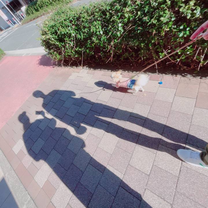 Ef3b52ba 2546 4c65 89c1 fa0194e4a877 1700383824669