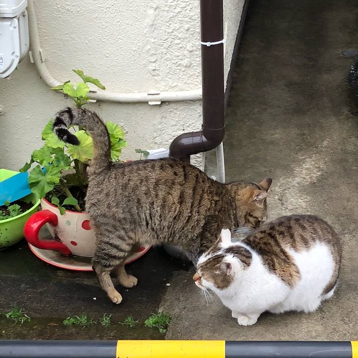 Ef3b7dd5 912e 4dae bbe9 851e3bf3eff5 1521537259693